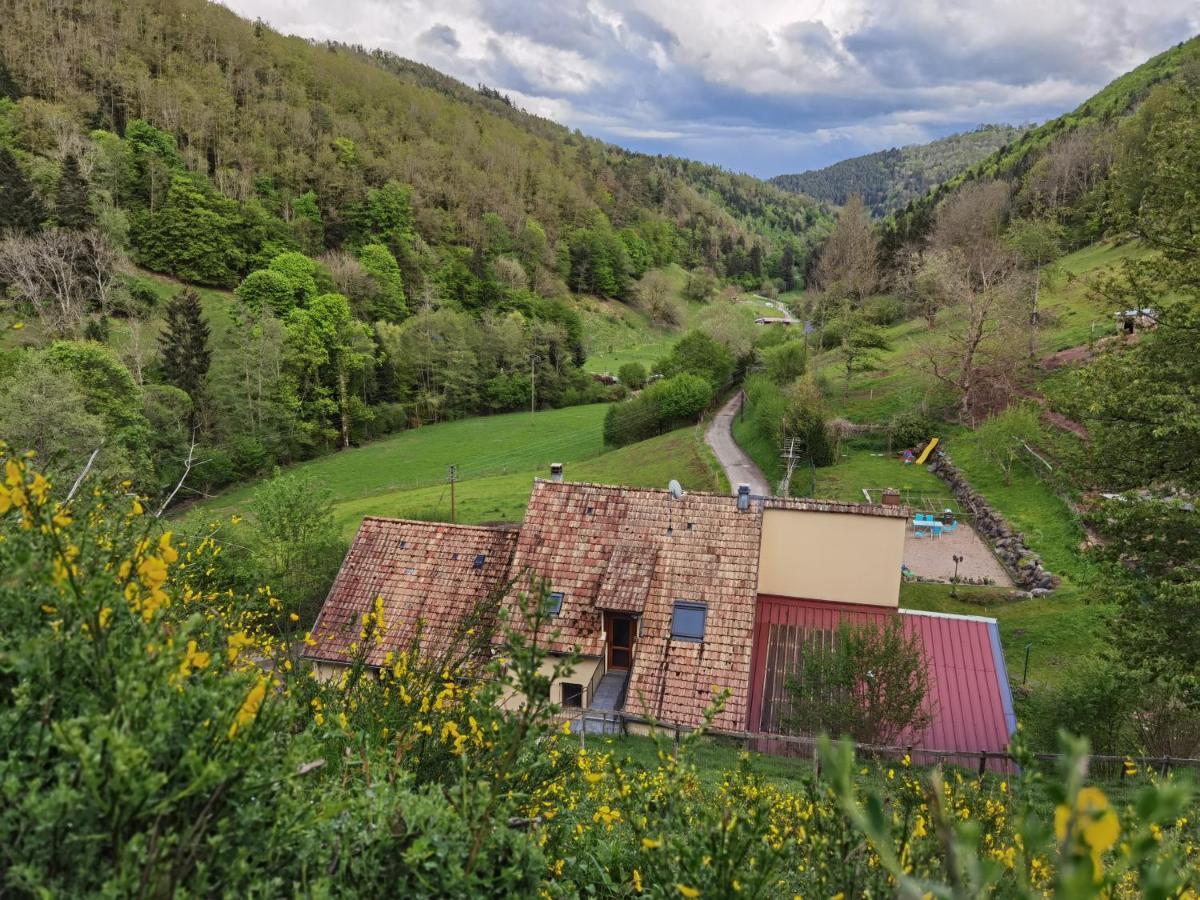 Ferienhaus Gite Saint Ludan *