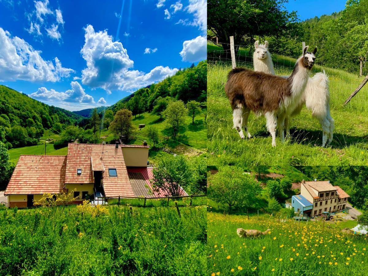 Gite Saint Ludan * Rombach-le-Franc